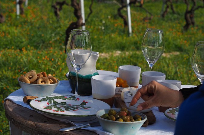 Picnic aperitif in the vineyard of an ancient trullo in Martina Franca - Wine pairing with small local producers: the real point of the tasting