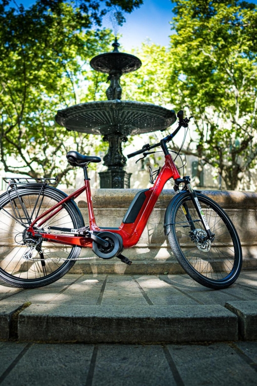 Picnic in the middle of a vineyard by e-bike - Who this is for (and who should skip it)