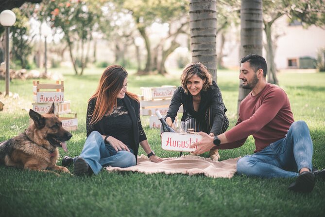 Picnic on the lawn -aromatic garden and winery - Where the Picnic Starts: Farm Augustali near Partinico
