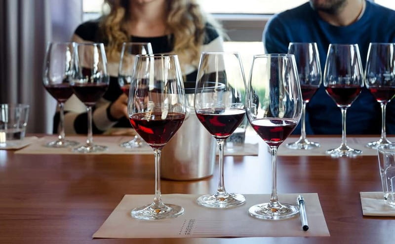 Piedmont: Winery Tour, Taste Barolo, Barbaresco & Local Food - Key things that make this tour worth your time