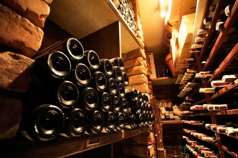 Piedmont: Winery Tour, Taste Barolo, Barbaresco & Local Food - Vineyard walk: seeing what makes Barolo and Barbaresco different
