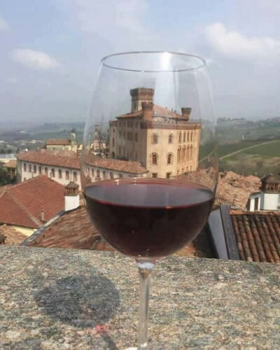 Piedmont: Winery Tour, Taste Barolo, Barbaresco & Local Food - The vineyard walk: your quick primer before the cellar