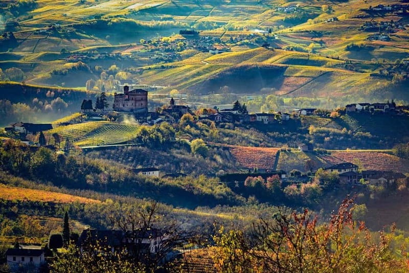 Piedmont: Winery Tour, Taste Barolo, Barbaresco & Local Food - The tasting lineup: seven wines, two liqueurs, and real variety