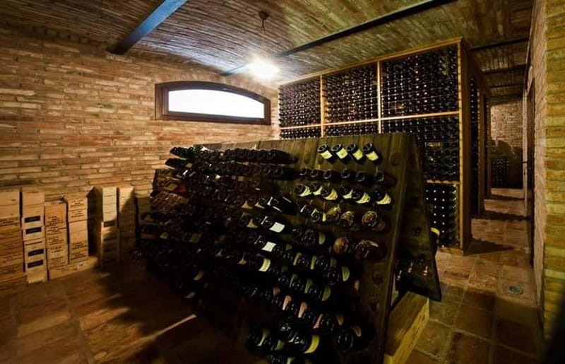 Piedmont: Winery Tour, Taste Barolo, Barbaresco & Local Food - What $55.80 gets you (and why it can be good value)