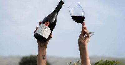 Pinhão: Quinta da Formigosa Vineyard Tour and Wine Tasting - Price and value: what $35 really buys you here