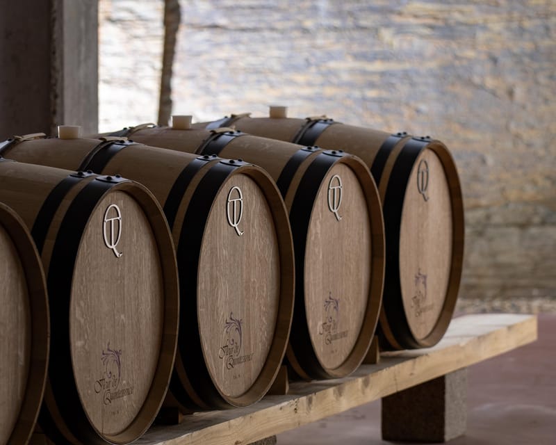 Pinhão: Quinta da Formigosa Vineyard Tour and Wine Tasting - The meeting point: inside the tasting room