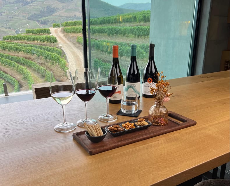Pinhão: Quinta da Formigosa Vineyard Tour and Wine Tasting - Stop 2: winery visit and the grape-to-bottle process (30 minutes)