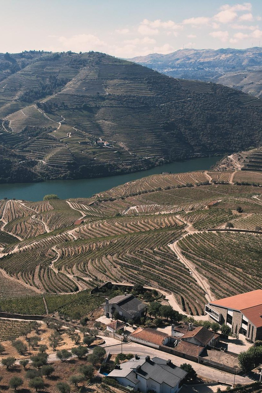 Pinhão: Quinta da Formigosa Vineyard Tour and Wine Tasting - What you’ll learn: making sense of Douro character