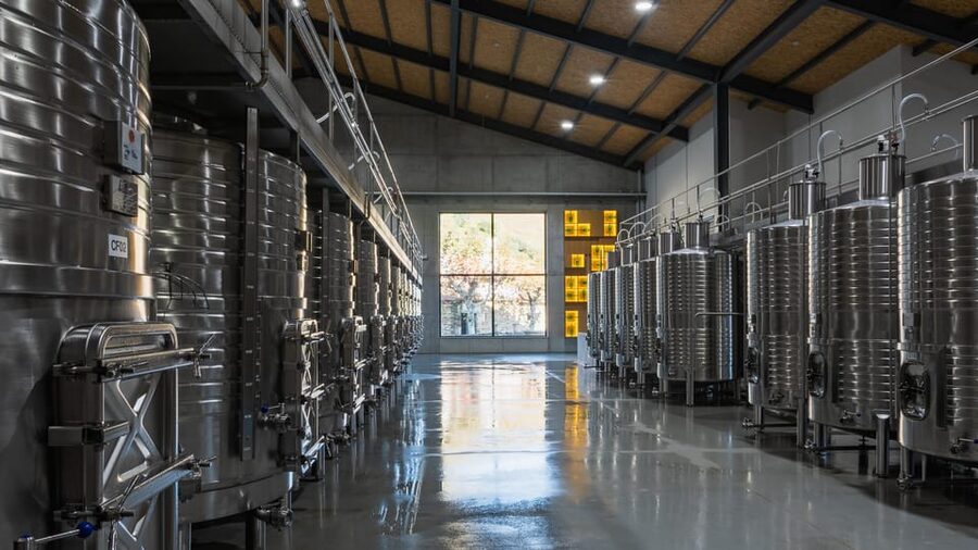 Pinhão: Quinta da Formigosa Vineyard Tour and Wine Tasting - Who this tour is best for (and who should choose something else)