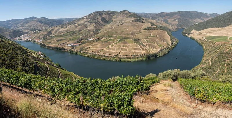 Pinhão: Rabelo Boat Cruise with a Port Tasting at a Winery - Timing, duration, and how to plan your day in Pinhão