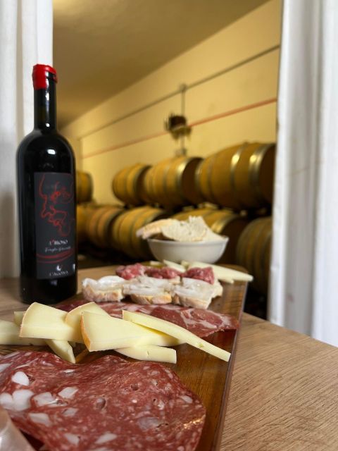 Pisa: Winery Tour and Wine Tasting with Local Food Pairing - Quick hits you will care about