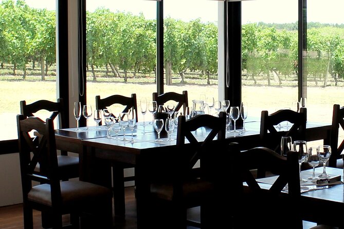 Pizzorno Winery with Lunch and Wine Tasting - Key takeaways before you go