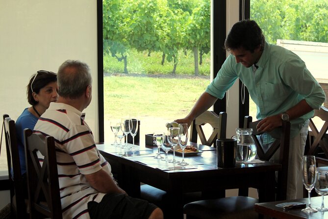 Pizzorno Winery with Lunch and Wine Tasting - The wine tasting: 4 pours with snacks and a pairing mindset