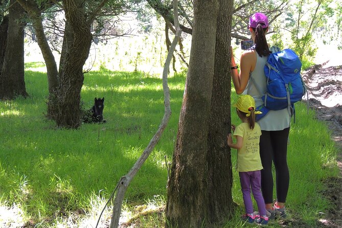 Podgorica Historic, Safari and Winery tour - Skadar lake and River Crnojevica - Skadar Lake and River Crnojevica: What you’re really signing up for