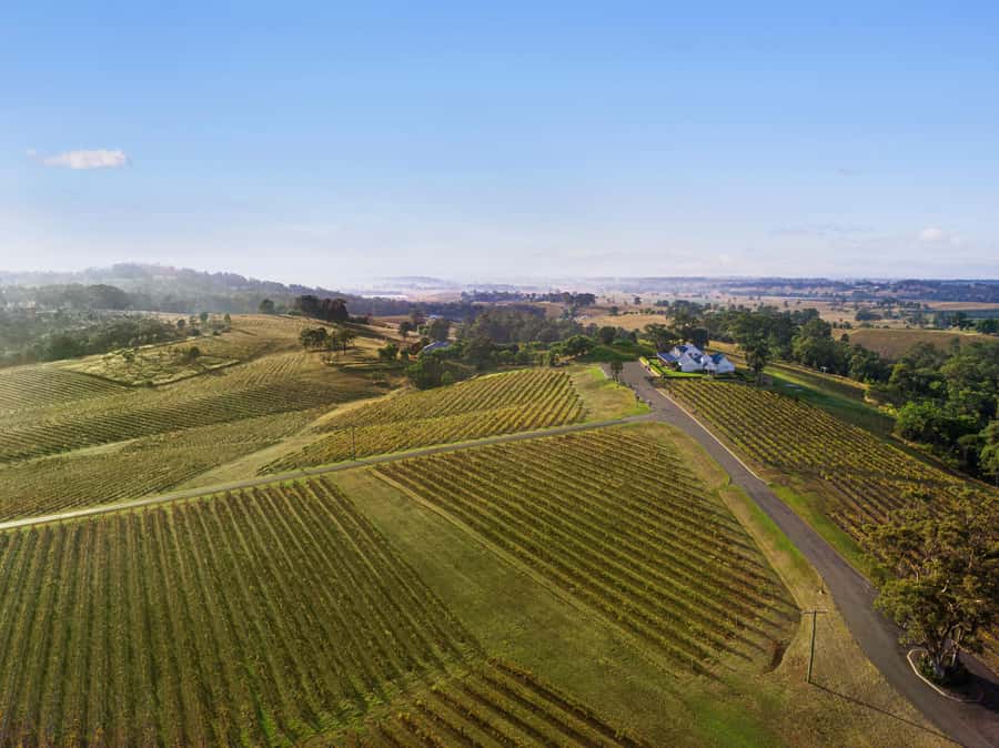Pokolbin: Picnic & Wine Tasting at Audrey Wilkinson Vineyard - Audrey Wilkinson in Pokolbin: what makes it feel special