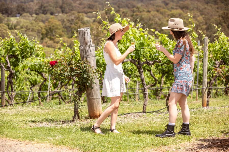Pokolbin: Picnic & Wine Tasting at Audrey Wilkinson Vineyard - Wine master class: what you’ll actually learn while you taste