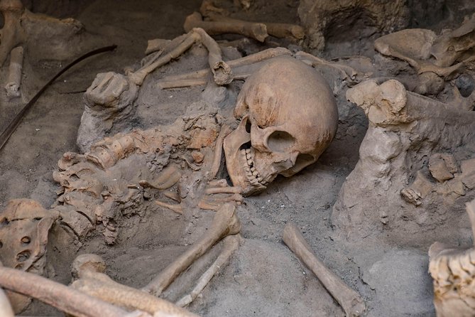 Pompeii, Herculaneum and Winery on Vesuvius with an Archaeologist - Herculaneum’s Antiquarium: Understand the Preservation