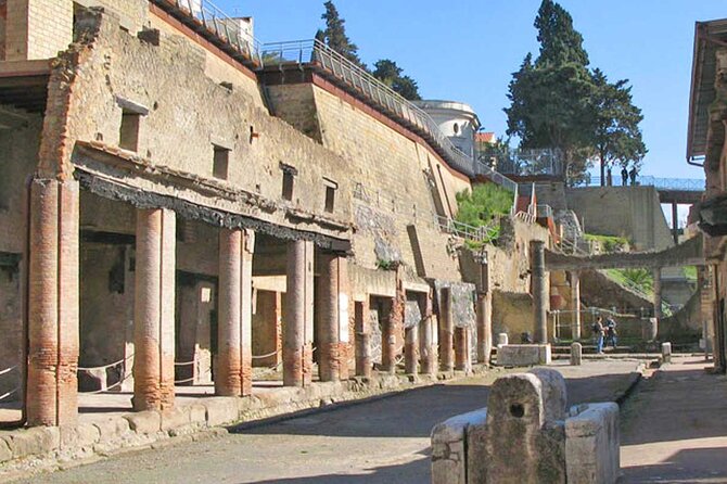Pompeii & Herculaneum Private Tour: Fast-Track, Winery & Lunch - Pompeii First: How the 2-Hour Walk Actually Feels