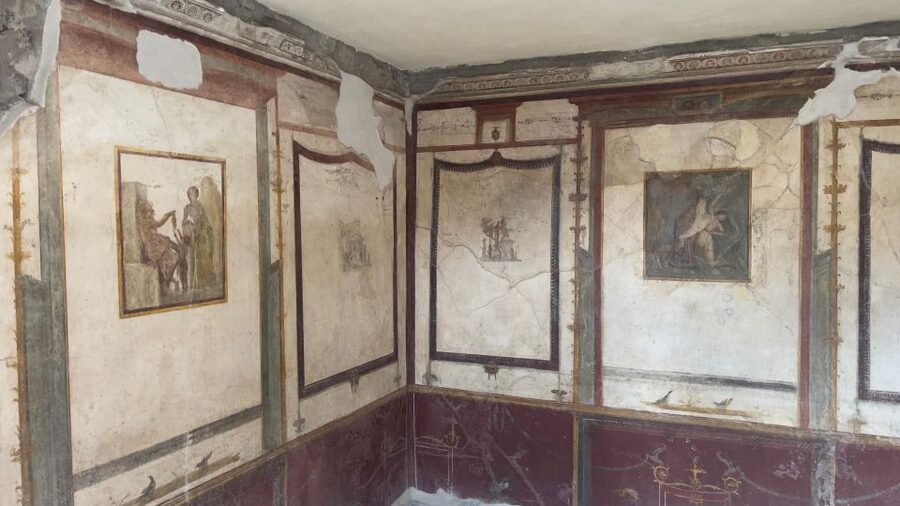 Pompeii-Vesuvius & Winery All Inclusive Tour From Positano - Key points worth knowing before you go