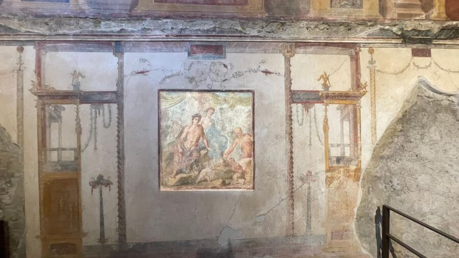 Pompeii-Vesuvius & Winery All Inclusive Tour From Positano - Mount Vesuvius Walk: 1.5 Hours Up for Real Views
