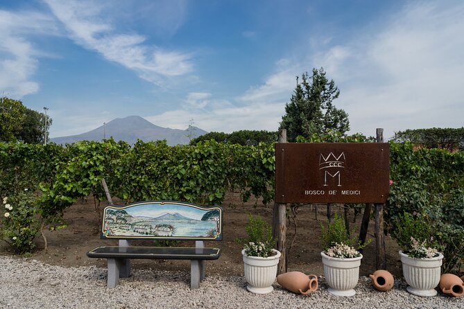 Pompeii Vineyard Escape: Private Wine Tasting & Lunch - Pompeii Meets the Vines: What You’re Really Buying