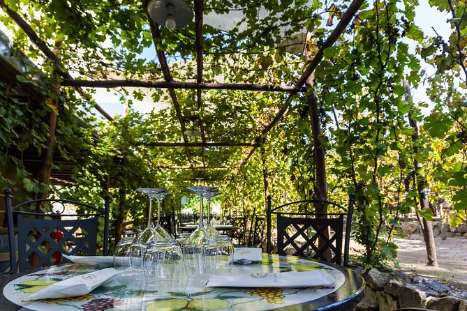 Pompeii Vineyard Escape: Private Wine Tasting & Lunch - Pompeii Timing Tips: Heat, Walking, and Getting Back Smoothly