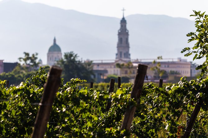 Pompeii Vineyard Escape: Private Wine Tasting & Lunch - Getting There: Meeting Point, Timing, and Transport Reality