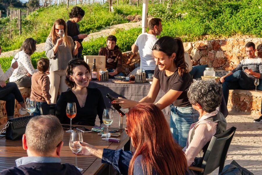 Porches: Algarve Vineyard Tour and Wine Tasting Experience - Quick practical tips to make the most of your tasting