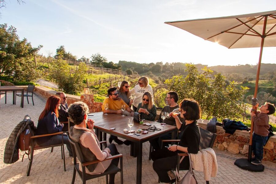 Porches: Algarve Vineyard Tour and Wine Tasting Experience - The wine lineup: rosé, white, red, and the variable bottle