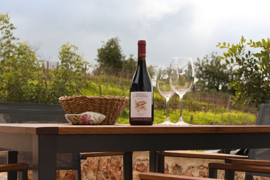 Porches: Algarve Vineyard Tour and Wine Tasting Experience - The vineyard walk for photos, with wine in hand