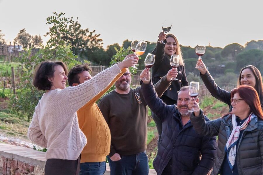 Porches: Algarve Vineyard Tour and Wine Tasting Experience - Price and value: is $91 a good deal for this Algarve stop?