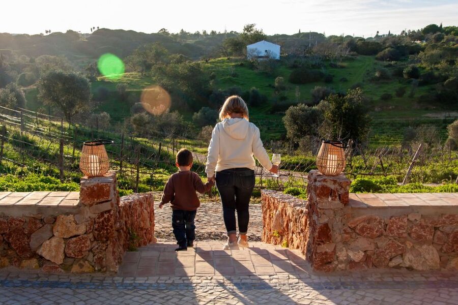 Porches: Algarve Vineyard Tour and Wine Tasting Experience - Who should book this vineyard tasting (and who should skip it)