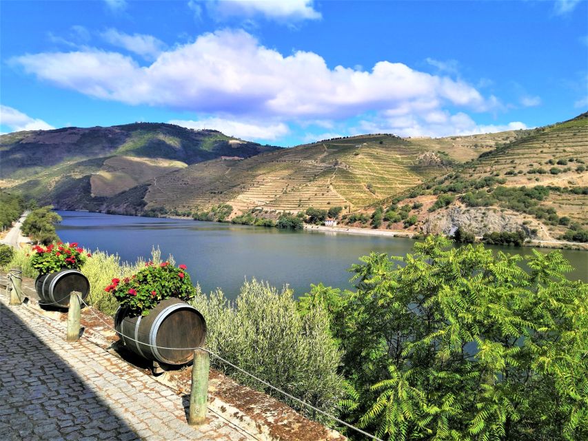 Porto: Douro Valley Private Grand Experience - Private - Price and Value: Is $318 Worth It?