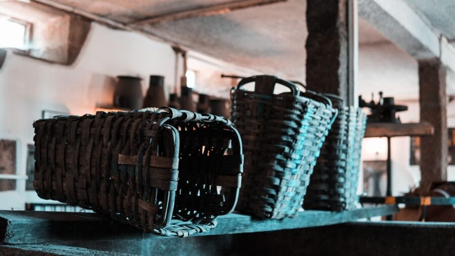 Porto: Douro Valley Private Grand Experience - Private - Historic Winery Visit: Vineyards, Cellar Tour, and Olive Oil
