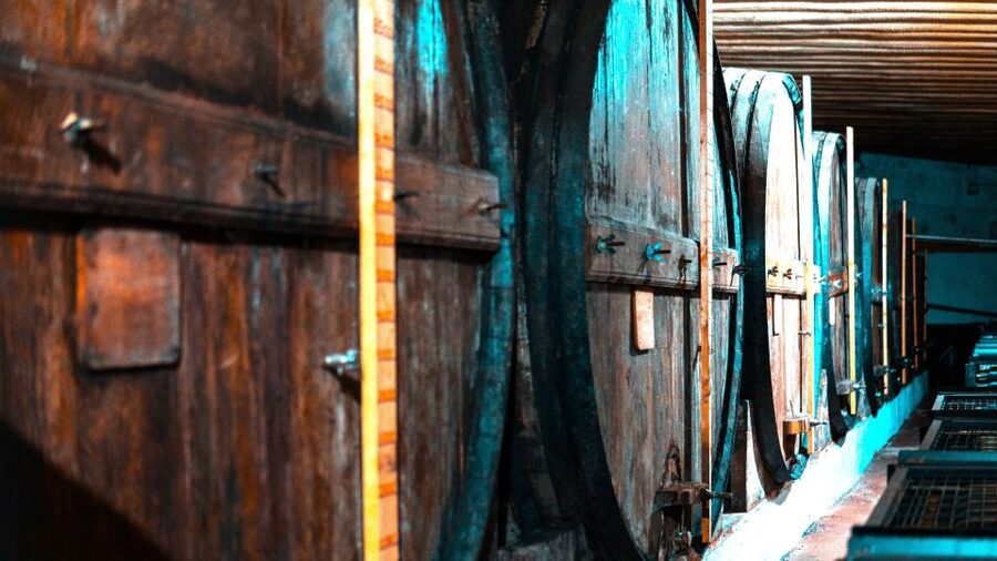 Porto: Douro Valley Private Grand Experience - Private - Port and Table Wines: Tastings With a Real Sense of Order