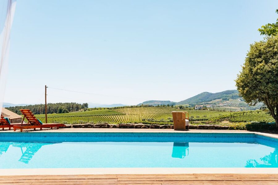 Porto: Douro Valley with Winery Lunch, Tastings & Cruise - The scenic river cruise: one hour on the water