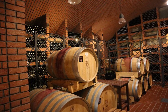 Prague´s Hidden Vineyards Private Tour - The Wine House Terrace Tasting: Czech Pairing With a View