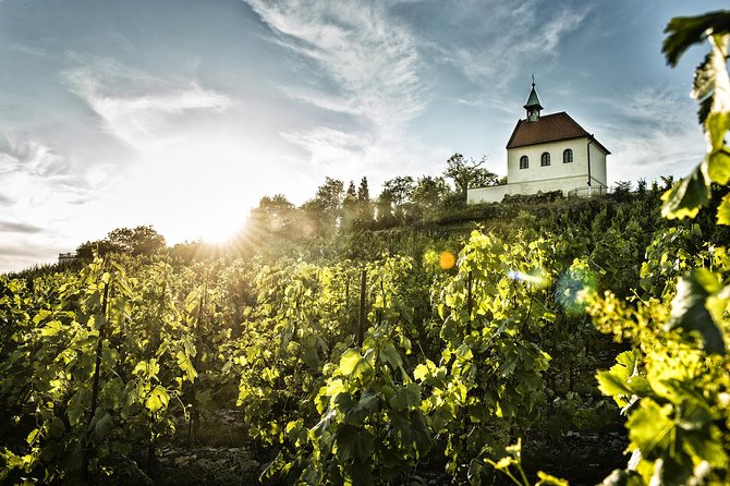 Prague´s Hidden Vineyards Private Tour - Who Should Book This (and Who Might Skip It)