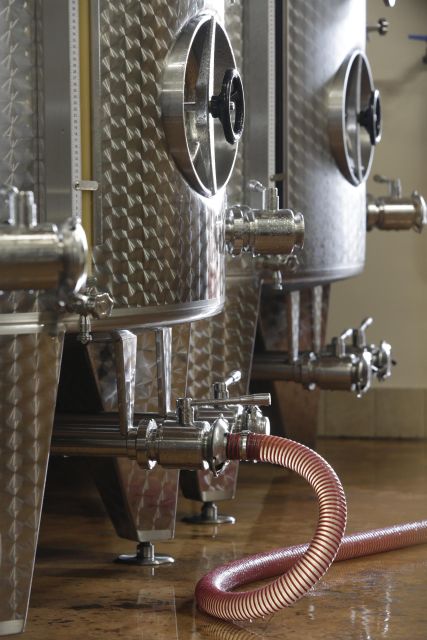 Pramaggiore: Ornella Bellia Winery Guided Tour & Tasting - Key highlights that make this winery tour click