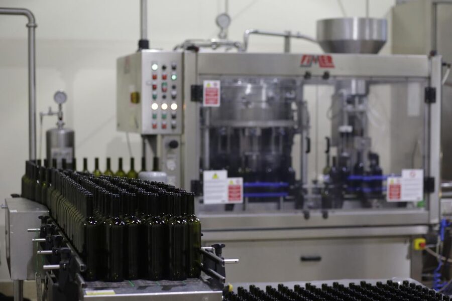 Pramaggiore: Ornella Bellia Winery Guided Tour & Tasting - DOCG Lison and Lison–Pramaggiore: what that means when you taste