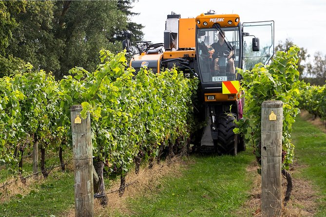 Premium 4 -Best Wineries Napier Hawke's Bay Tour, 5.5h - 6Hours - Quick hits before you book