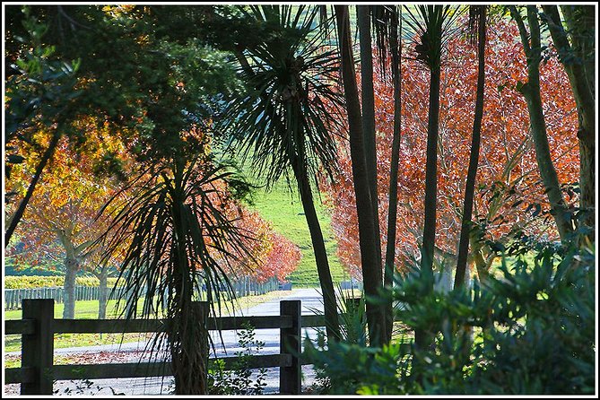 Premium 4 -Best Wineries Napier Hawke's Bay Tour, 5.5h - 6Hours - Price and value: what $114.81 buys you in real time