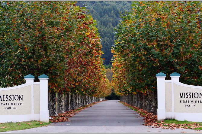 Premium 4 -Best Wineries Napier Hawke's Bay Tour, 5.5h - 6Hours - Who this tour fits best