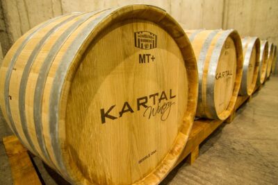 Premium Oak Aged Wines Tasting Tour in Family Winery Kartal in Skopje - Tradition meets science in a modern cellar setup