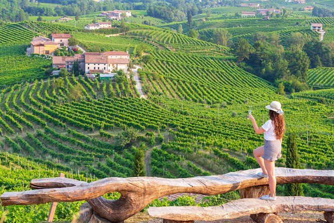Premium Prosecco Hills Winery Tour with Prosecco Tastings & Food - Key things to know before you go