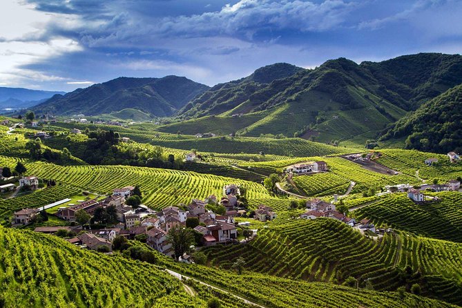 Premium Prosecco Hills Winery Tour with Prosecco Tastings & Food - Prosecco Hills From Venice: why that UNESCO drive is part of the point
