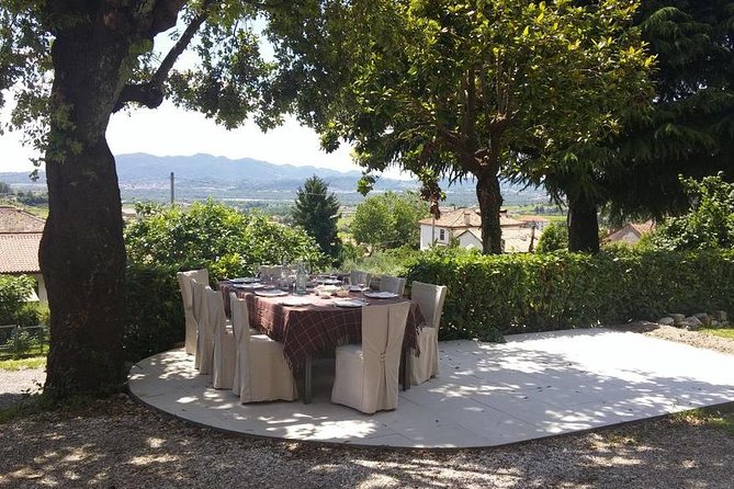 Premium Prosecco Hills Winery Tour with Prosecco Tastings & Food - Conegliano winery time: owner-led learning and a structured tasting