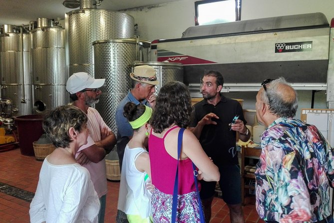 Premium Prosecco Hills Winery Tour with Prosecco Tastings & Food - Pairing cold cuts and cheese in Prosecco country: why it works