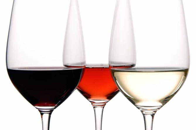 PREMIUM TAPAS TOUR: Tapas, Paella and Winery - Who this tour fits best (and who should skip it)