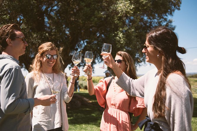 Premium Vineyard Tour & Tasting - Key highlights at a glance